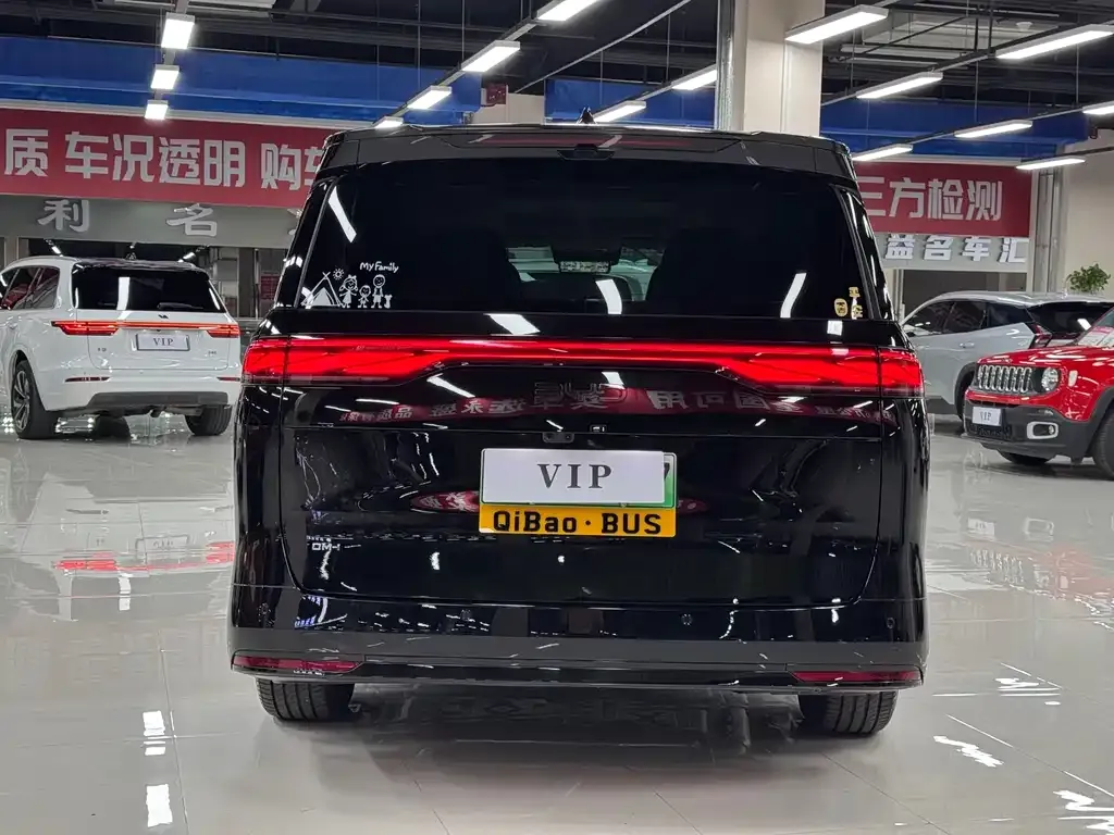 BYD Xia 2025 из CN, фото 6