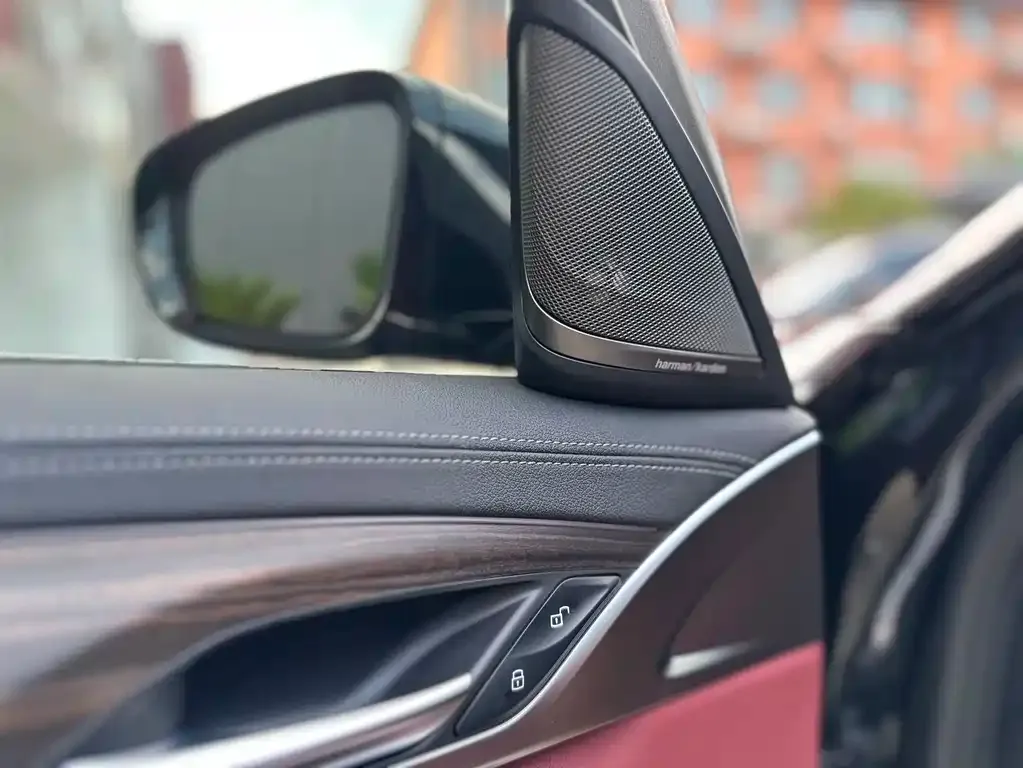 BMW 5 Series 2023 из CN, фото 10
