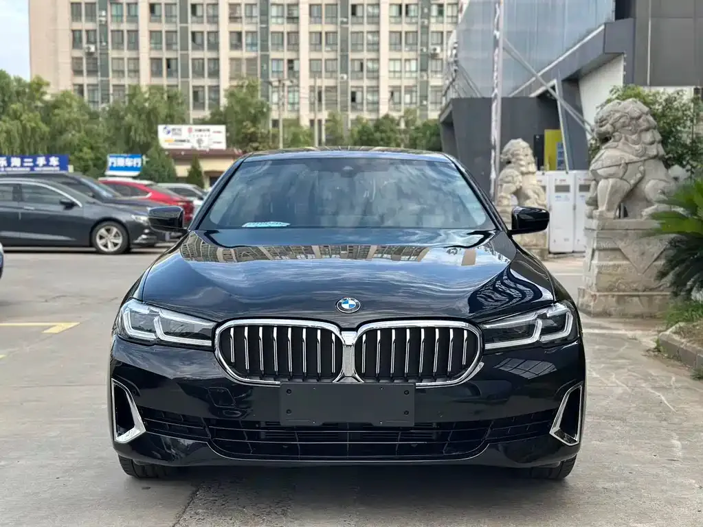 BMW 5 Series 2023 из CN, фото 2