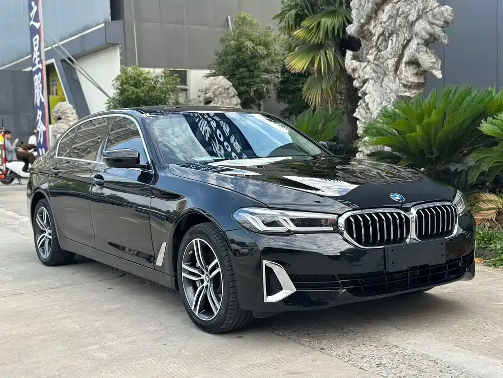 BMW 5 Series 2023 из CN, фото 3