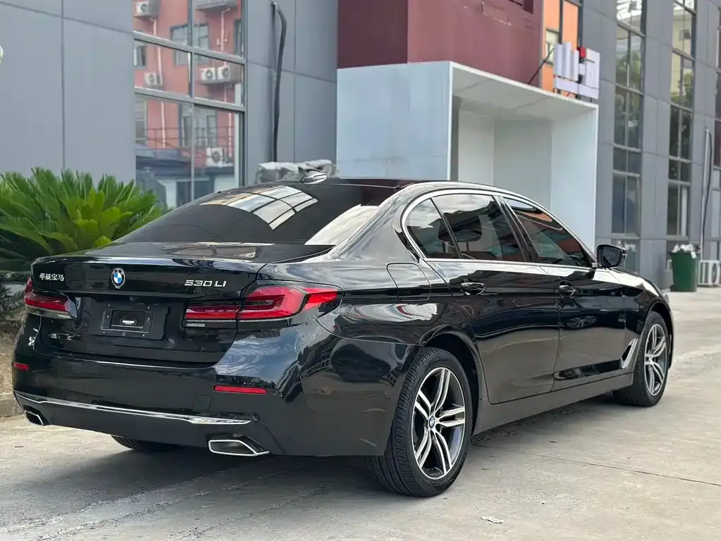 BMW 5 Series 2023 из CN, фото 6