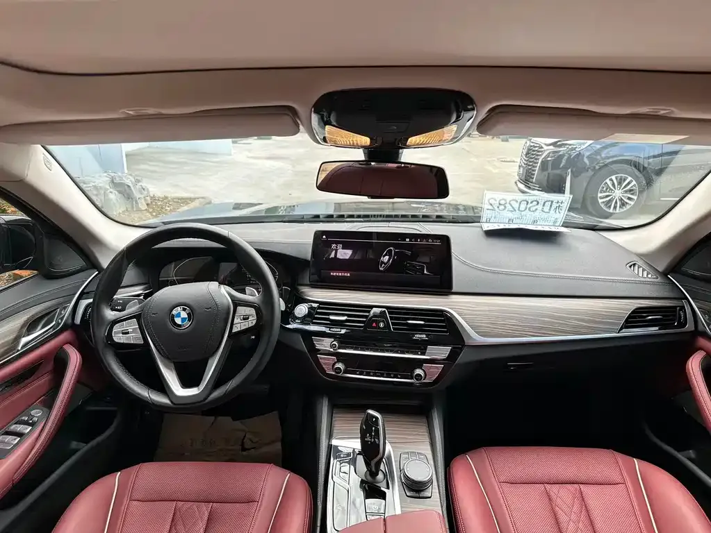 BMW 5 Series 2023 из CN, фото 8