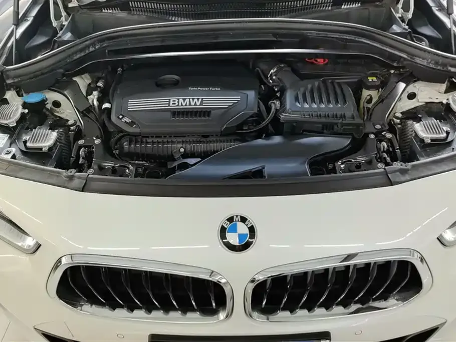 BMW X2 2021 из CN, фото 10