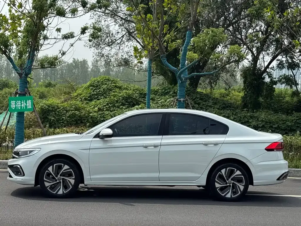 [object Object] Bora 2024 из CN, фото 4