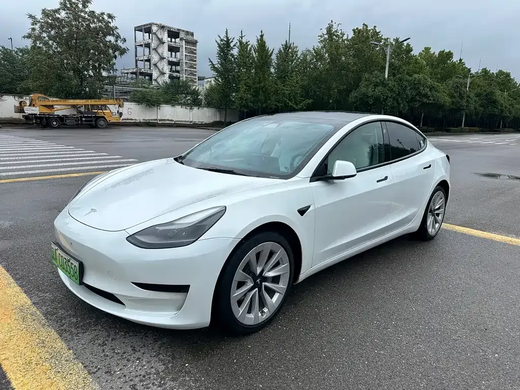 Tesla Model 3 2021 из CN, фото 1
