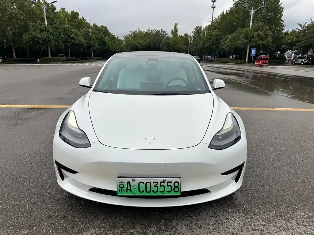 Tesla Model 3 2021 из CN, фото 2