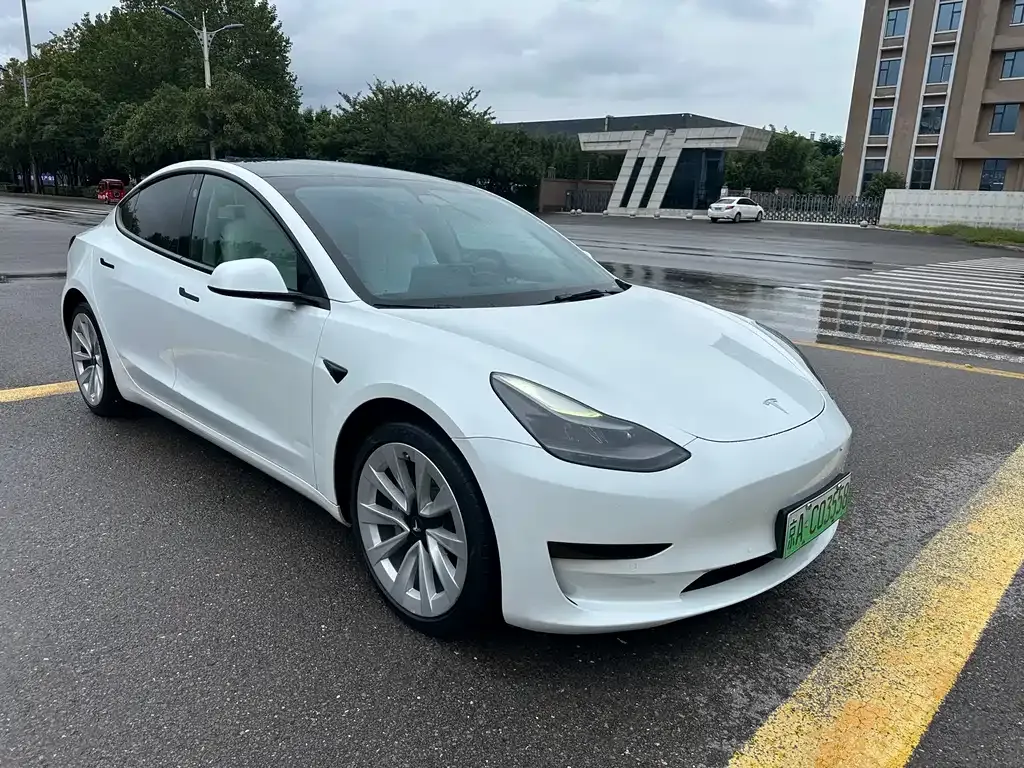 Tesla Model 3 2021 из CN, фото 3