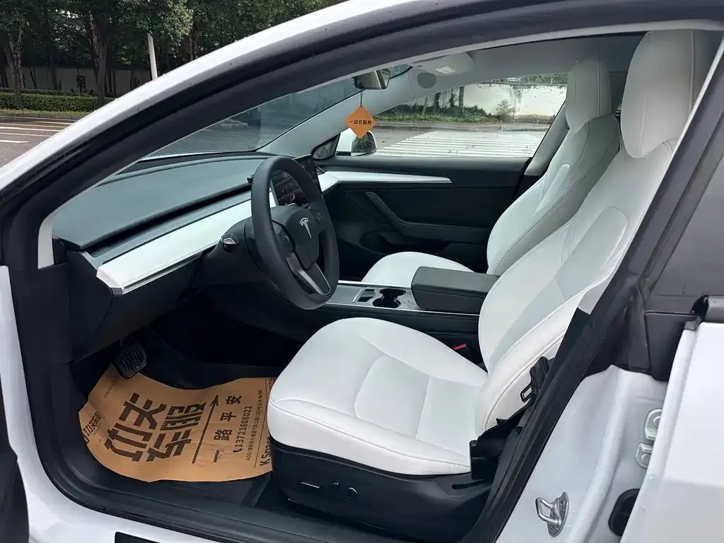 Tesla Model 3 2021 из CN, фото 4