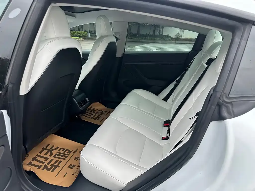 Tesla Model 3 2021 из CN, фото 5
