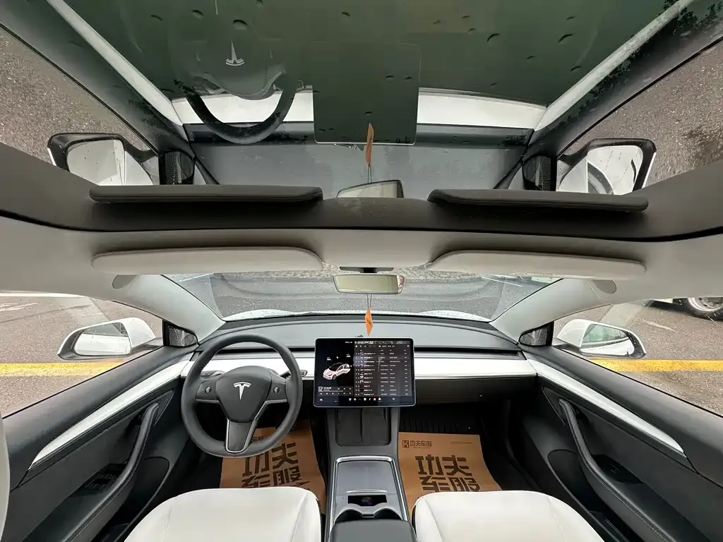 Tesla Model 3 2021 из CN, фото 6