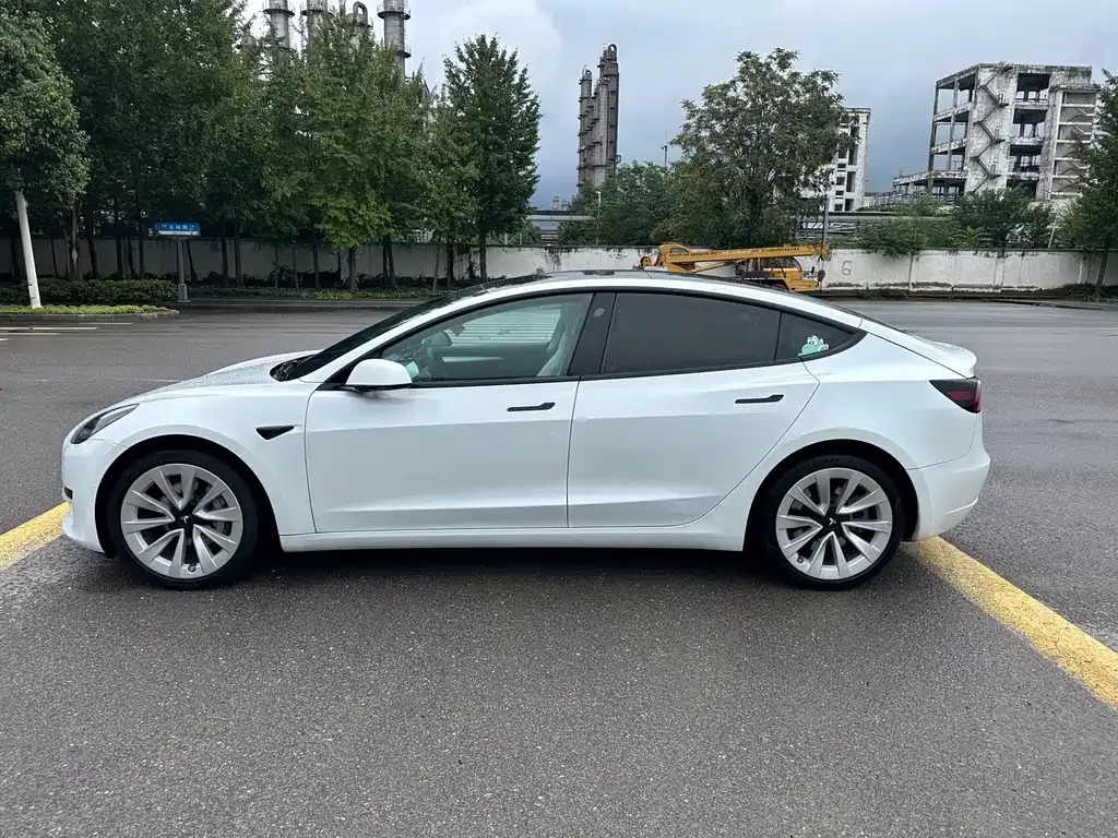 Tesla Model 3 2021 из CN, фото 7