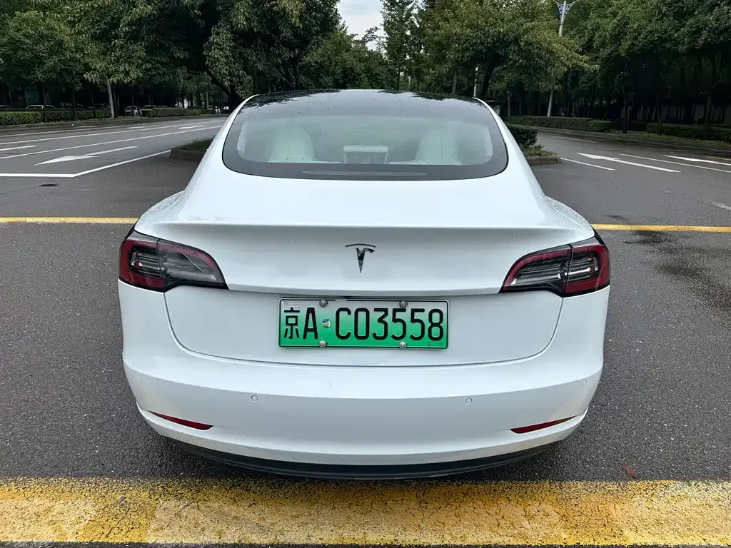 Tesla Model 3 2021 из CN, фото 9