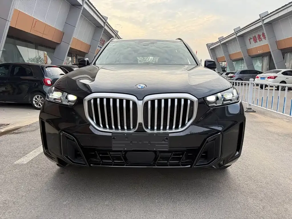 BMW X5 2025 из CN, фото 2