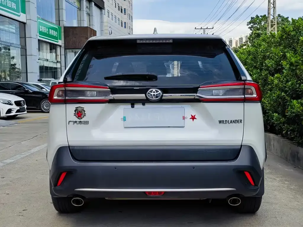 Toyota Wildlander 2021 из CN, фото 5
