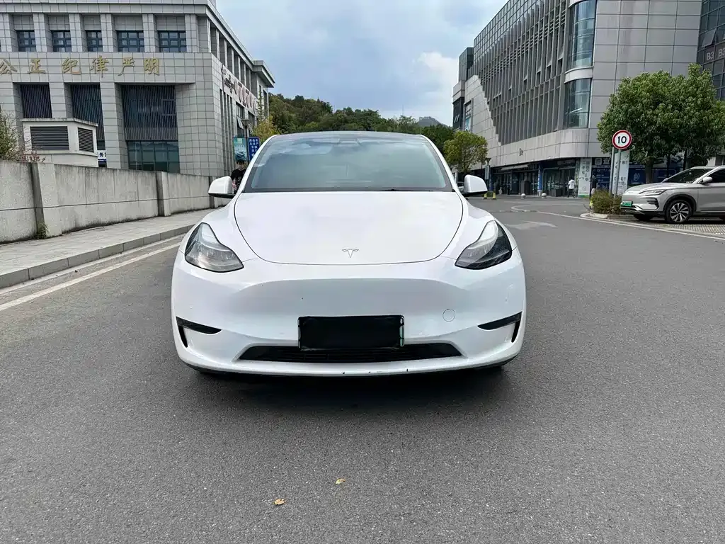 Tesla Model Y 2022 из CN, фото 2