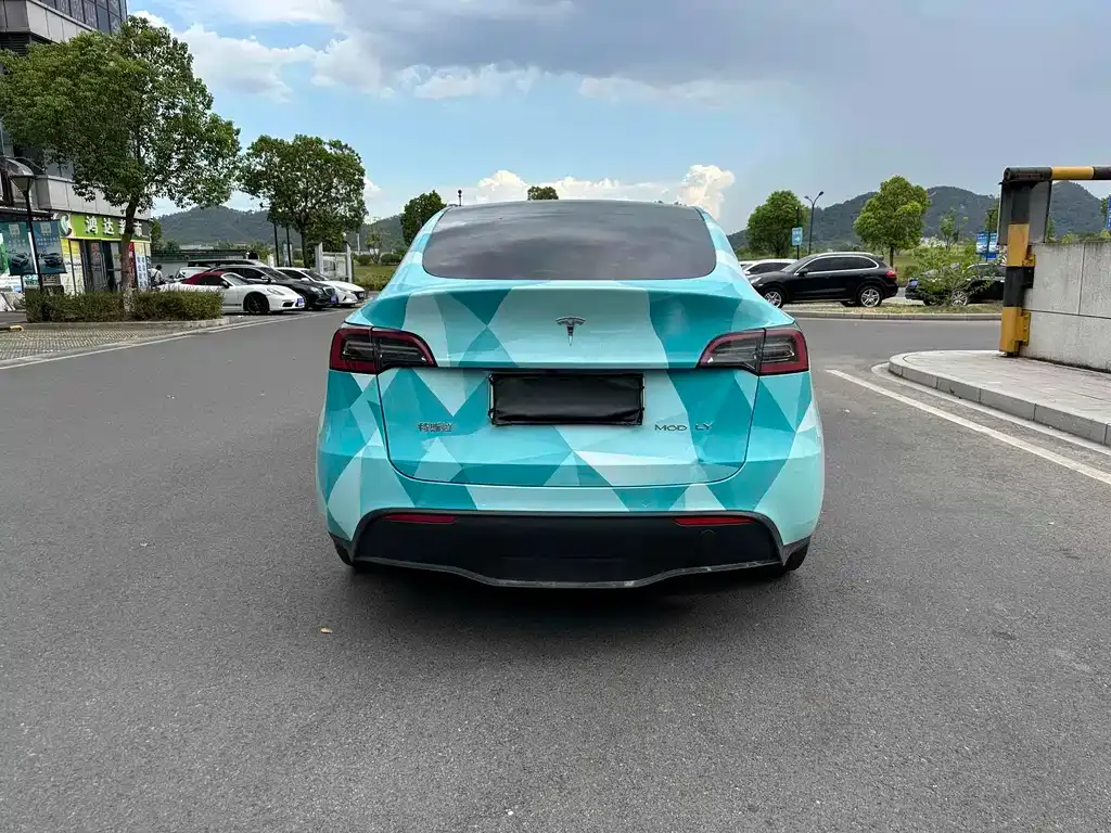 Tesla Model Y 2022 из CN, фото 5