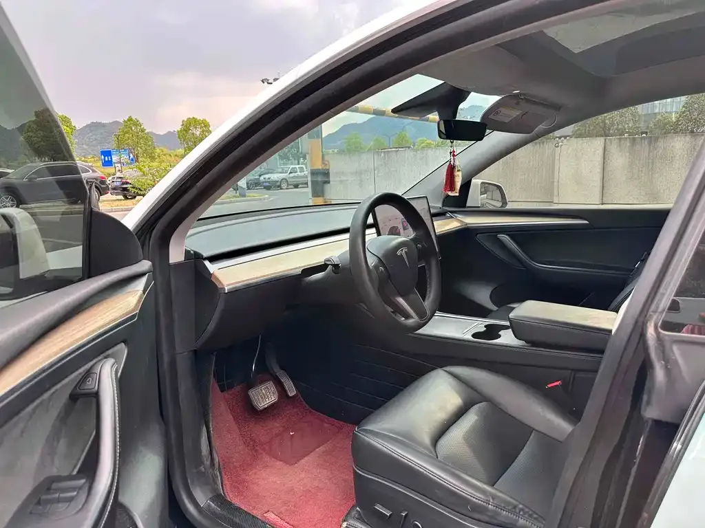 Tesla Model Y 2022 из CN, фото 8