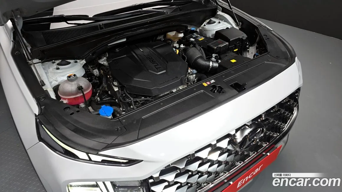 Hyundai Santafe 2022 из KR, фото 6