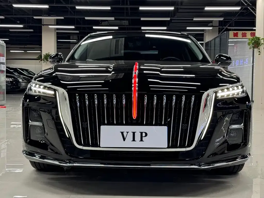 Hongqi H5 2024 из CN, фото 2