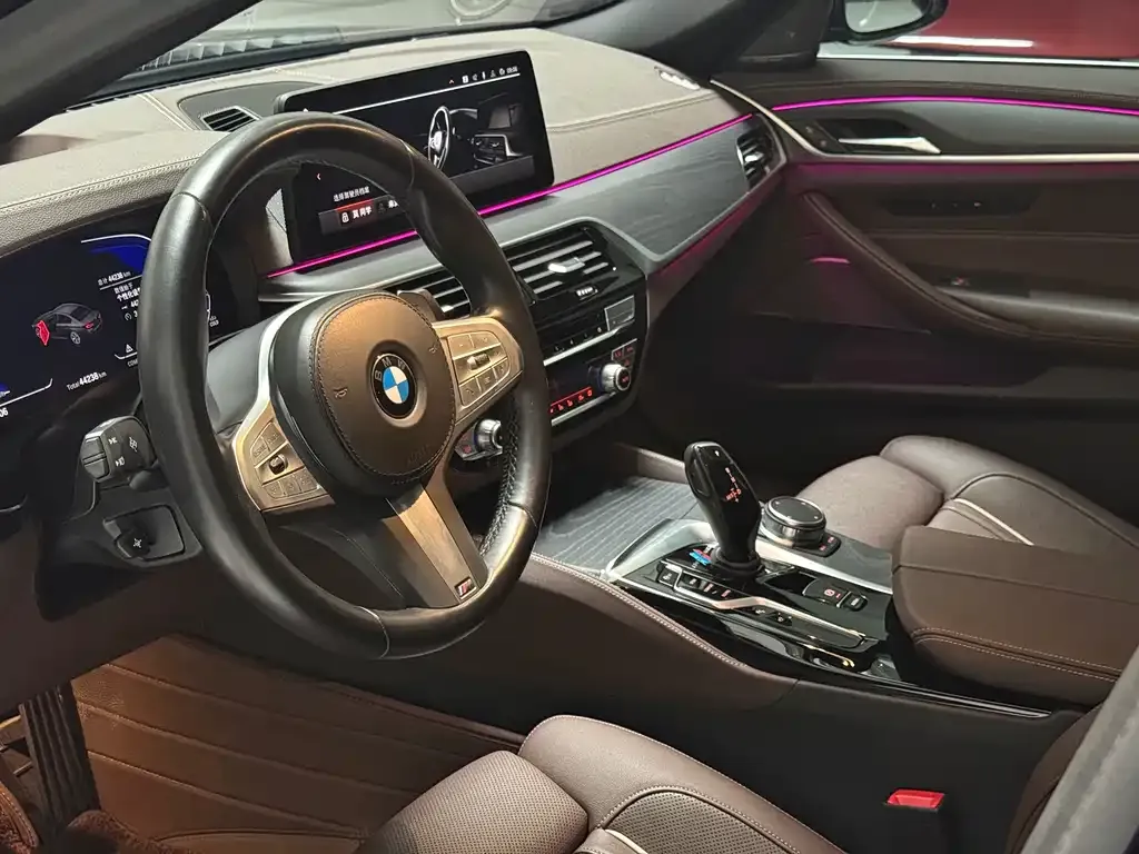 BMW 5 Series 2023 из CN, фото 5