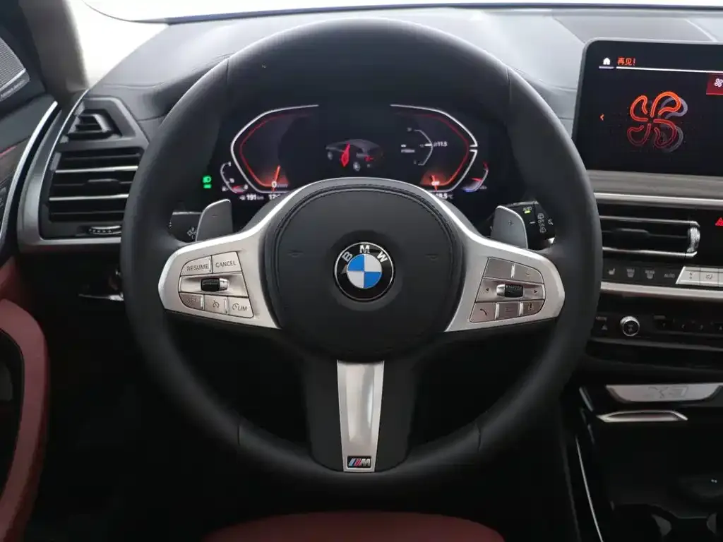 BMW X3 2024 из CN, фото 9
