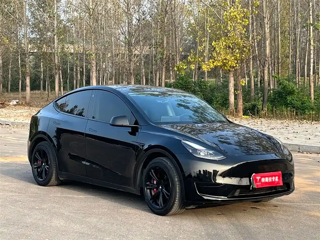 Tesla Model Y 2022 из CN, фото 1