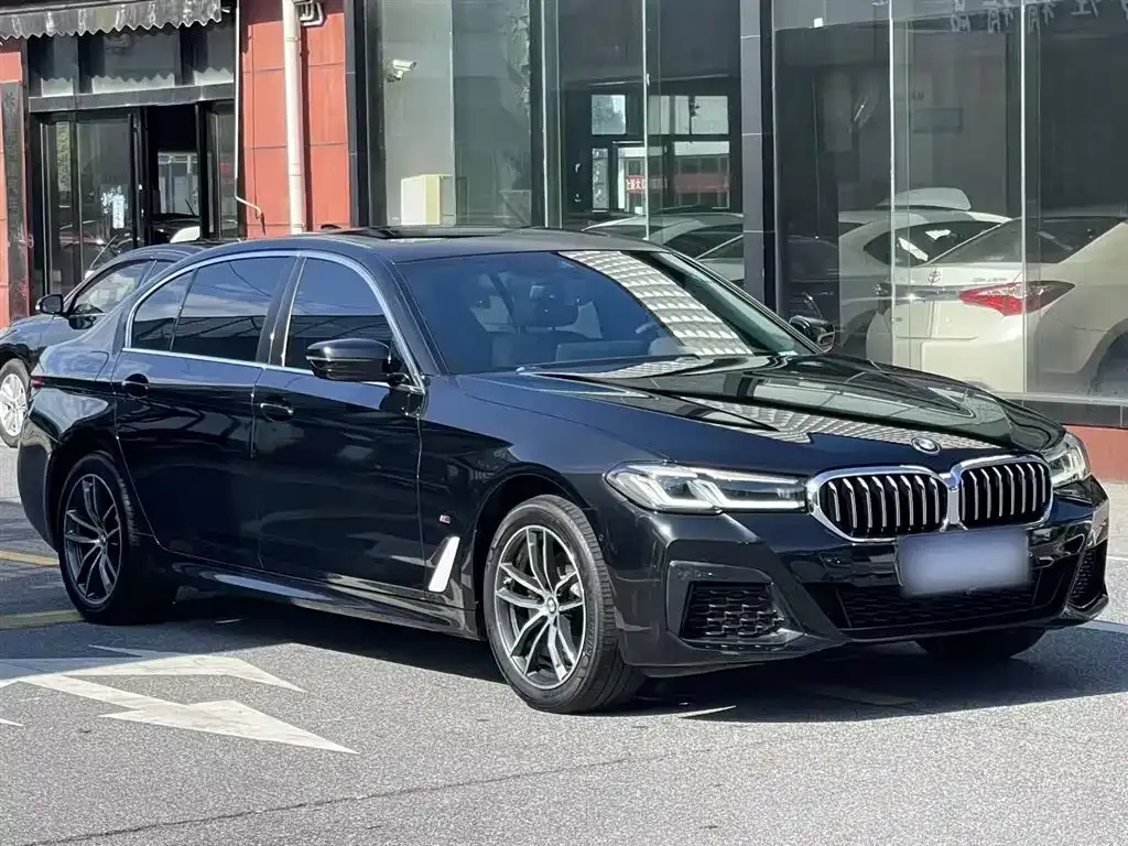 BMW 5 Series 2022 из CN, фото 3