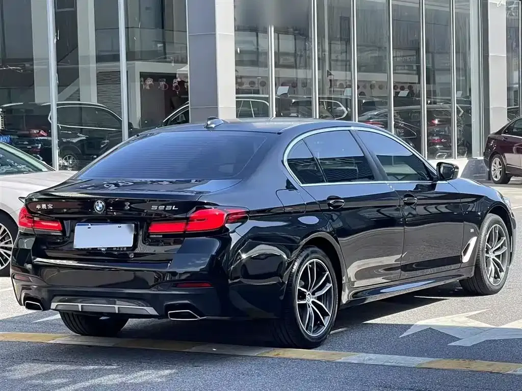 BMW 5 Series 2022 из CN, фото 5