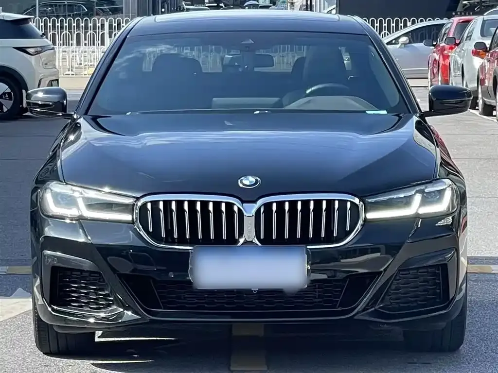 BMW 5 Series 2022 из CN, фото 6