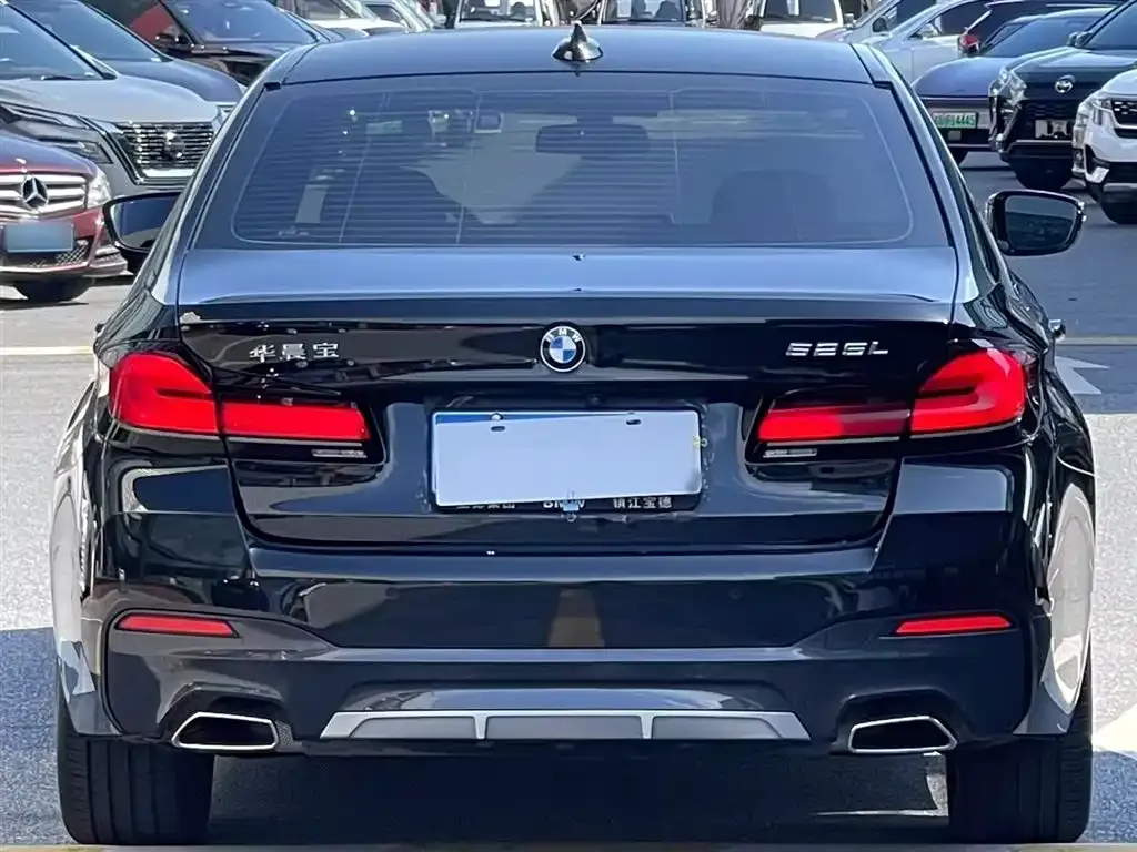 BMW 5 Series 2022 из CN, фото 7