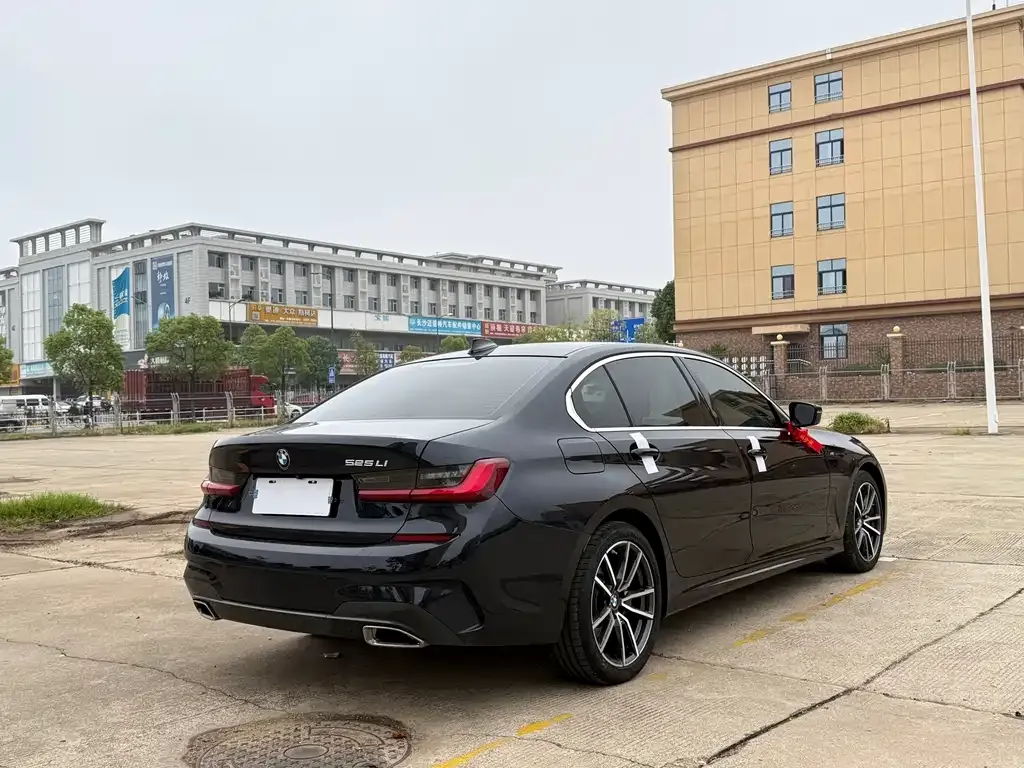 BMW 3 Series 2021 из CN, фото 9