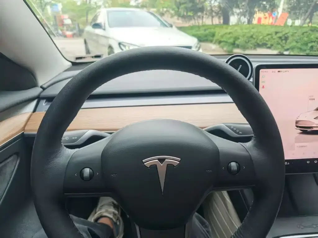 Tesla Model 3 2023 из CN, фото 8