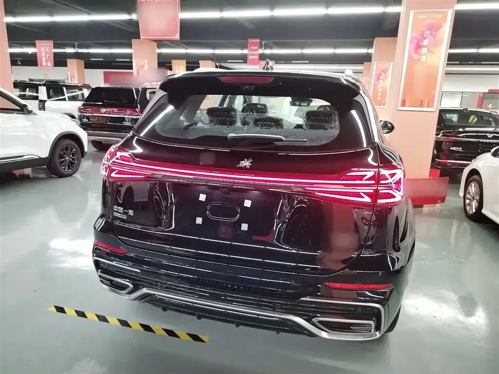 Hongqi HS5 2025 из CN, фото 6