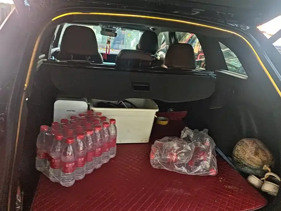 Geely Xingyue L 2022 из CN, фото 4