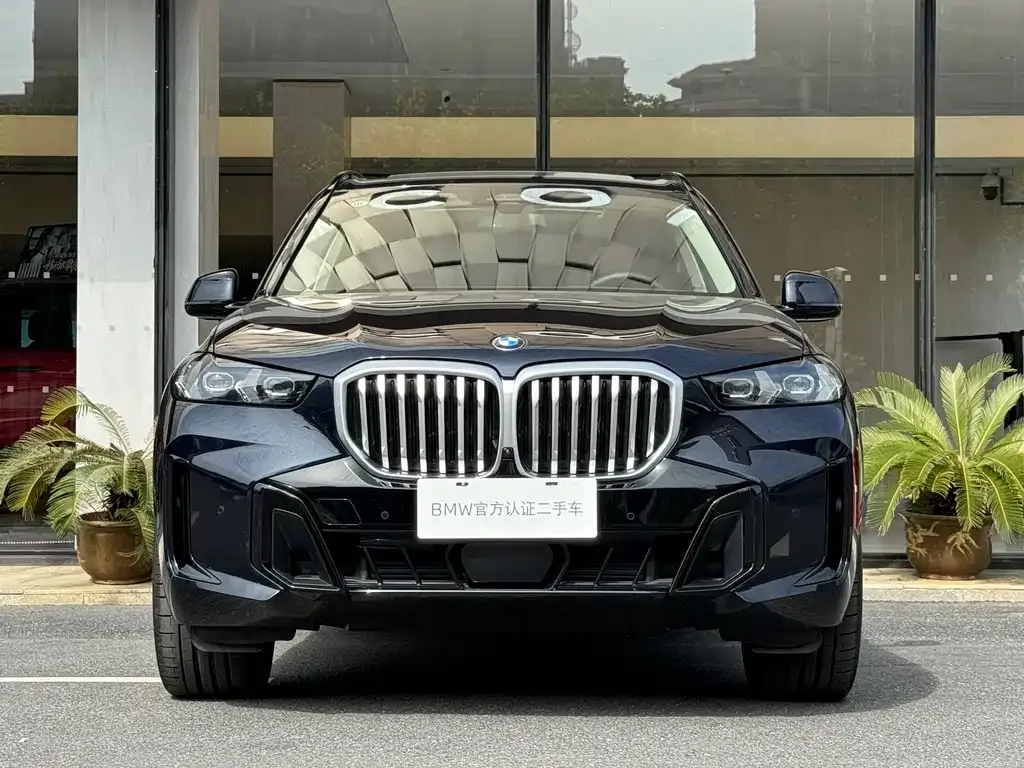 BMW X5 2025 из CN, фото 2