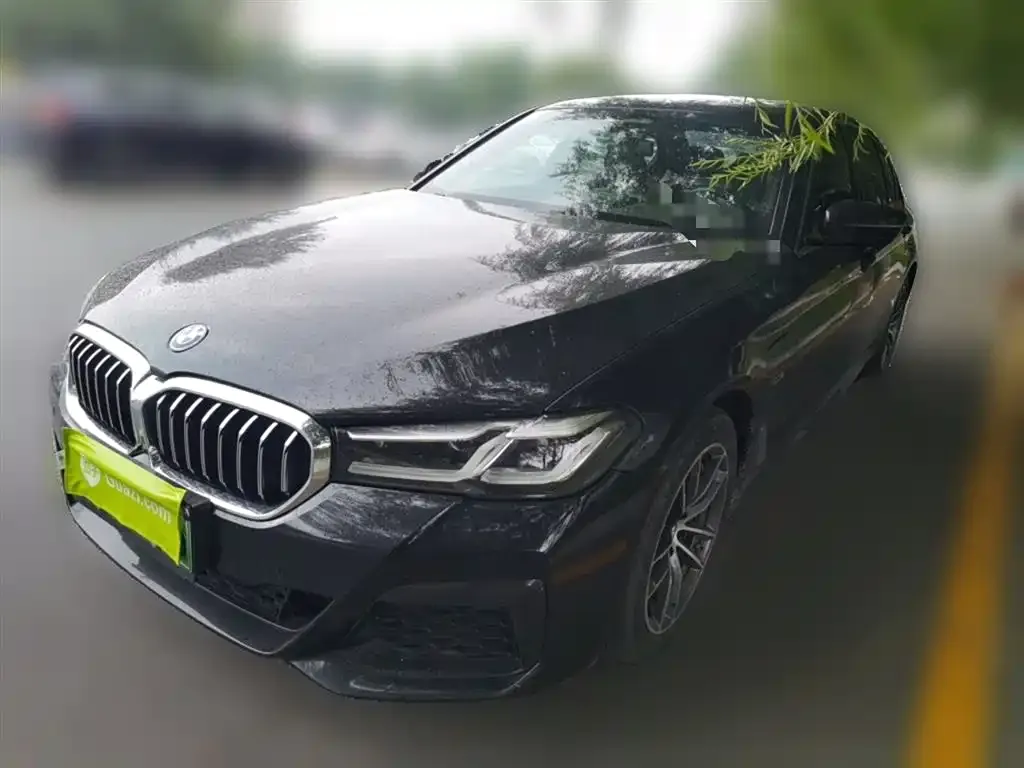 BMW 5 Series New Energy 2022 из CN, фото 1