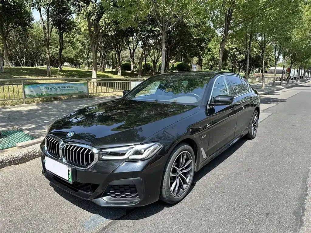 BMW 5 Series New Energy 2022 из CN, фото 2