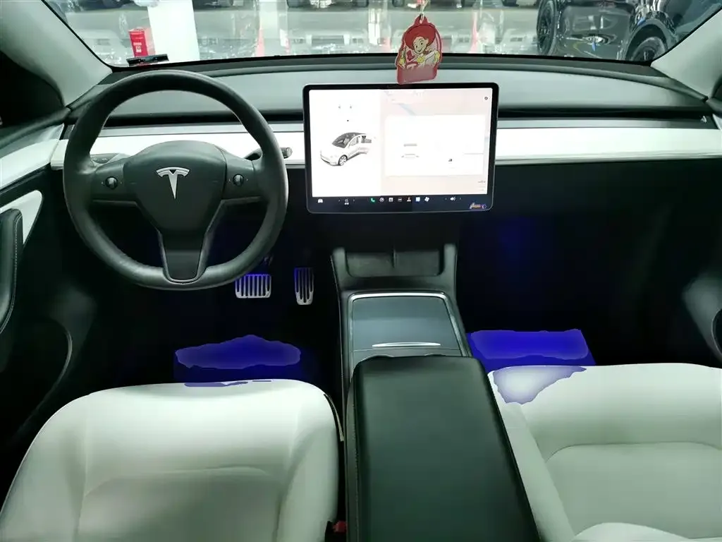 Tesla Model Y 2021 из CN, фото 10