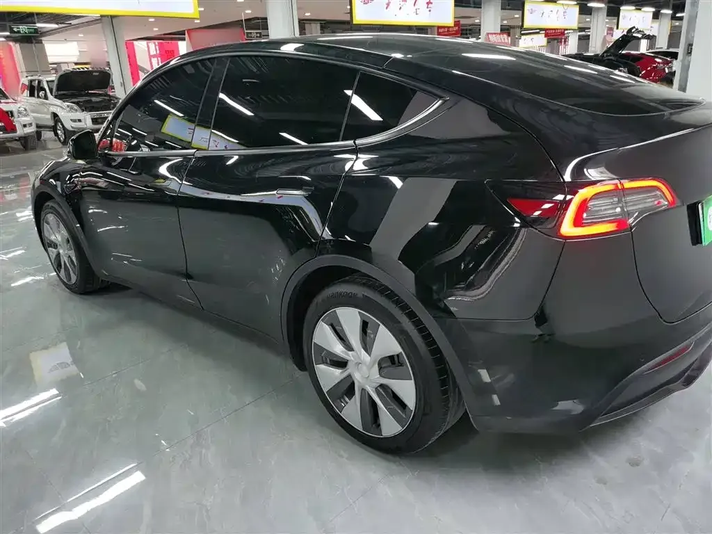 Tesla Model Y 2021 из CN, фото 5