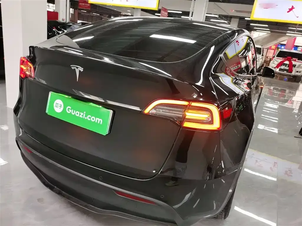 Tesla Model Y 2021 из CN, фото 6