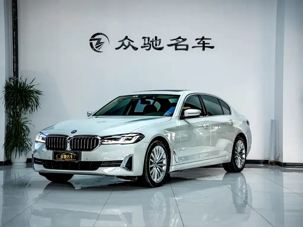 BMW 5 Series 2022 из CN, фото 1