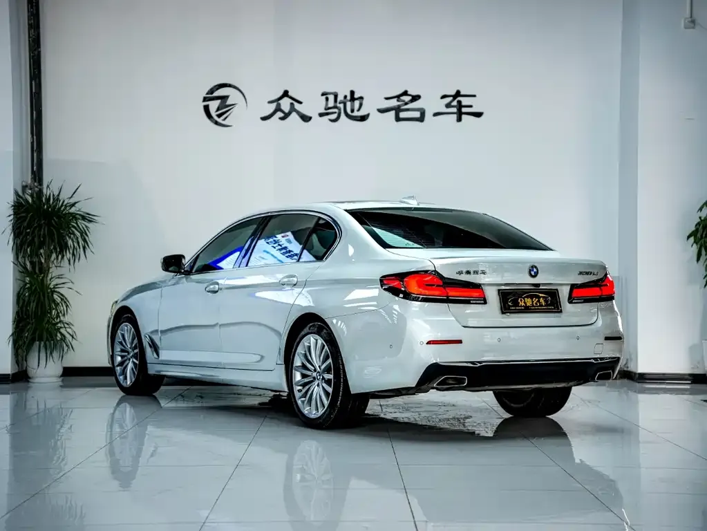 BMW 5 Series 2022 из CN, фото 10