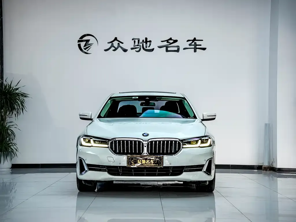 BMW 5 Series 2022 из CN, фото 2