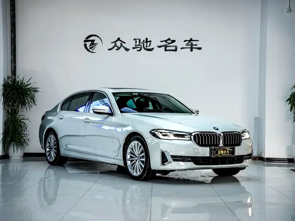 BMW 5 Series 2022 из CN, фото 3