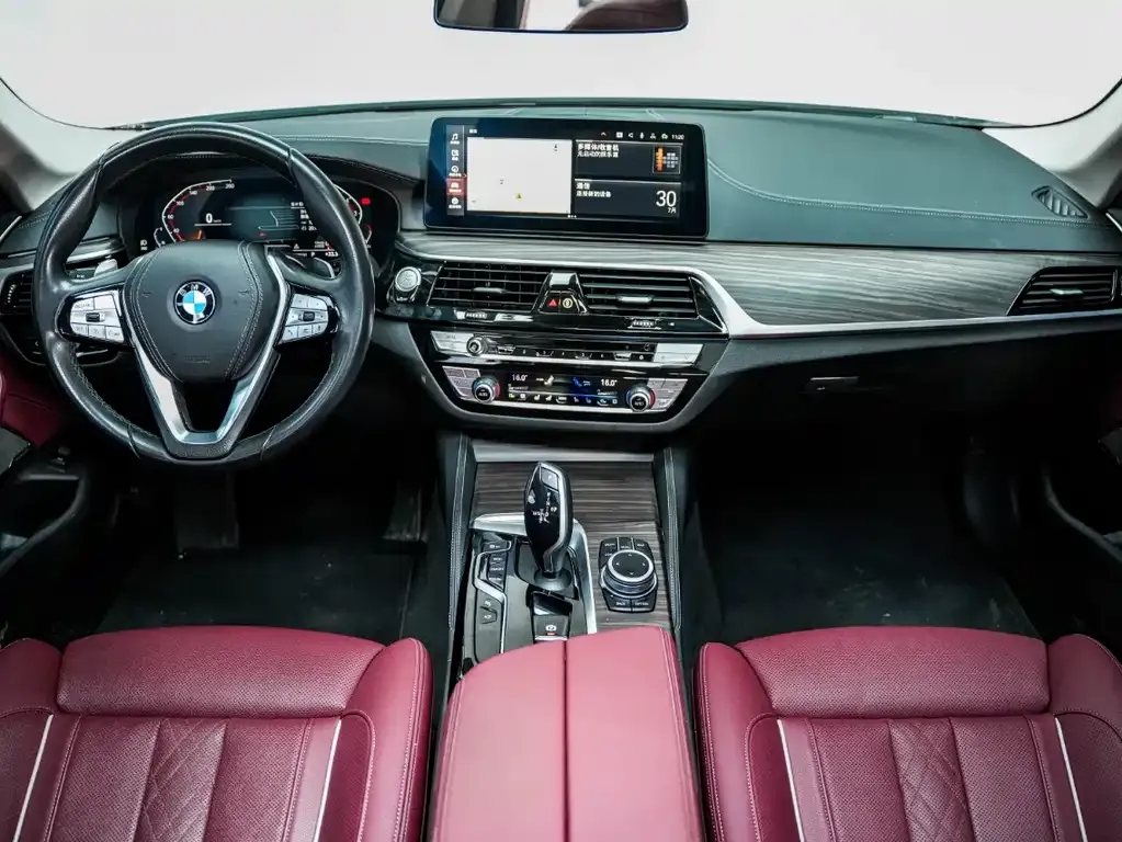 BMW 5 Series 2022 из CN, фото 6
