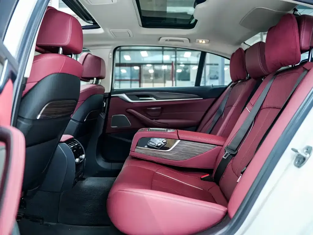BMW 5 Series 2022 из CN, фото 7