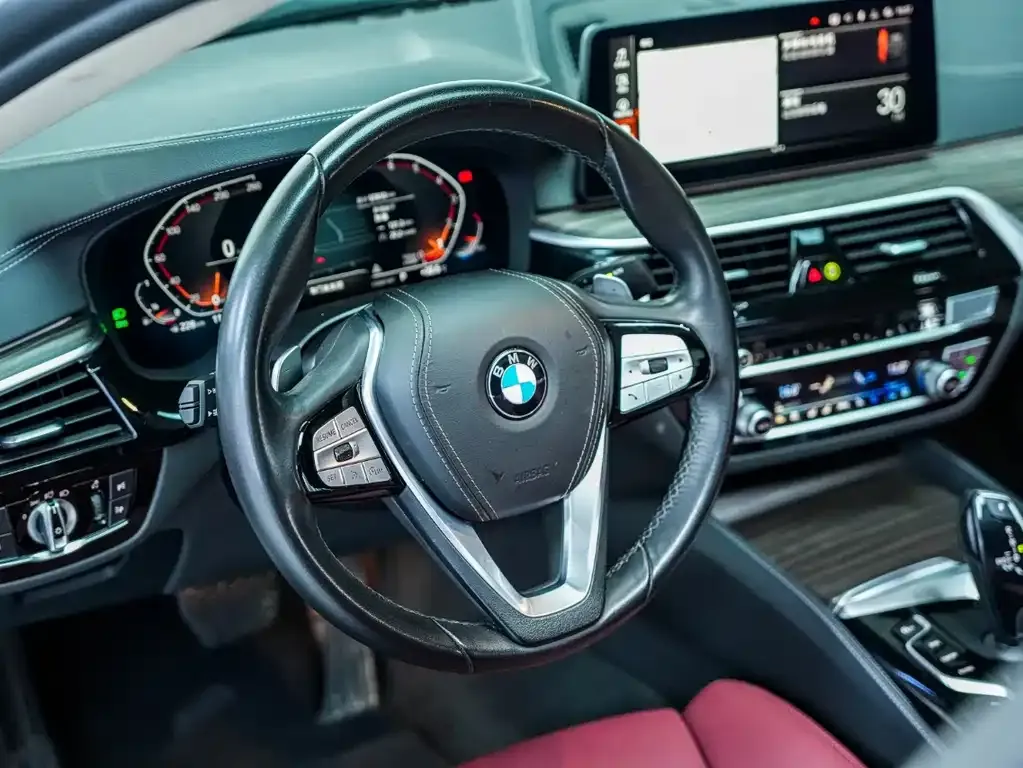 BMW 5 Series 2022 из CN, фото 9