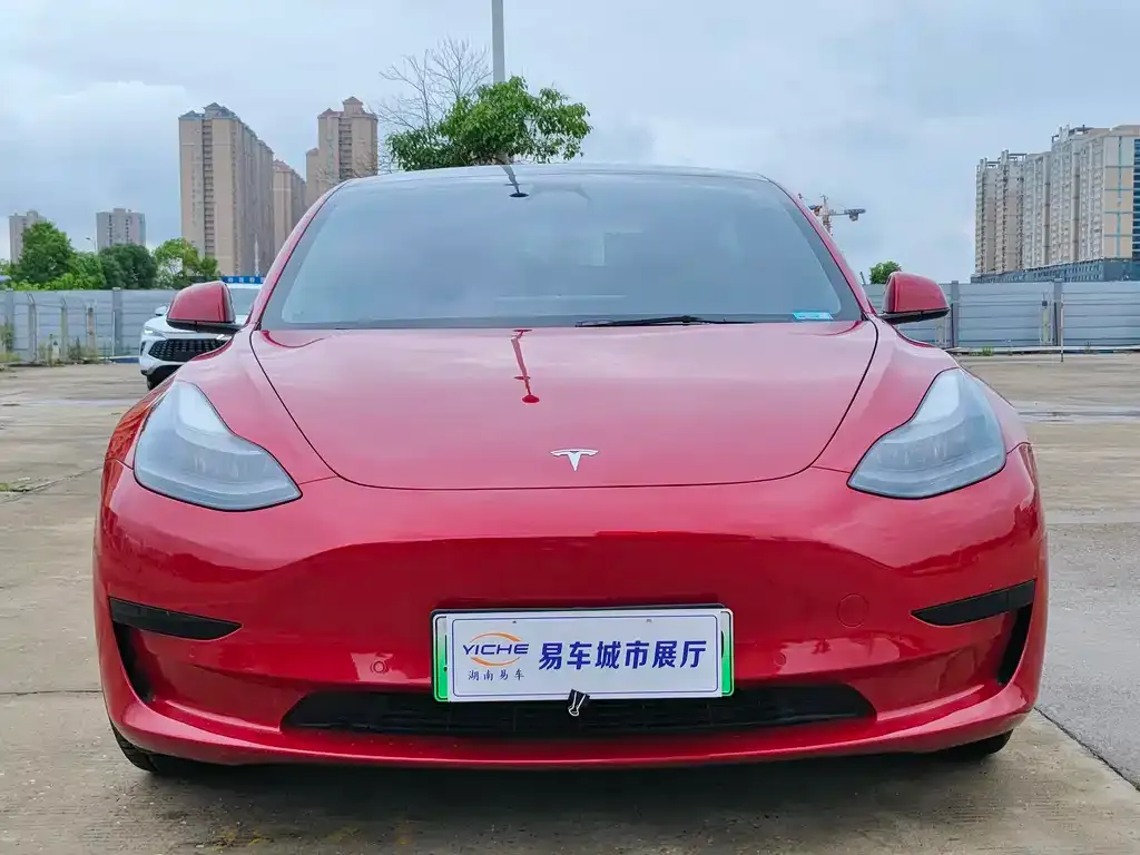 Tesla Model 3 2021 из CN, фото 2