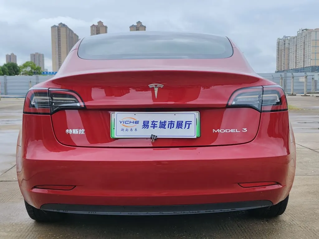 Tesla Model 3 2021 из CN, фото 5