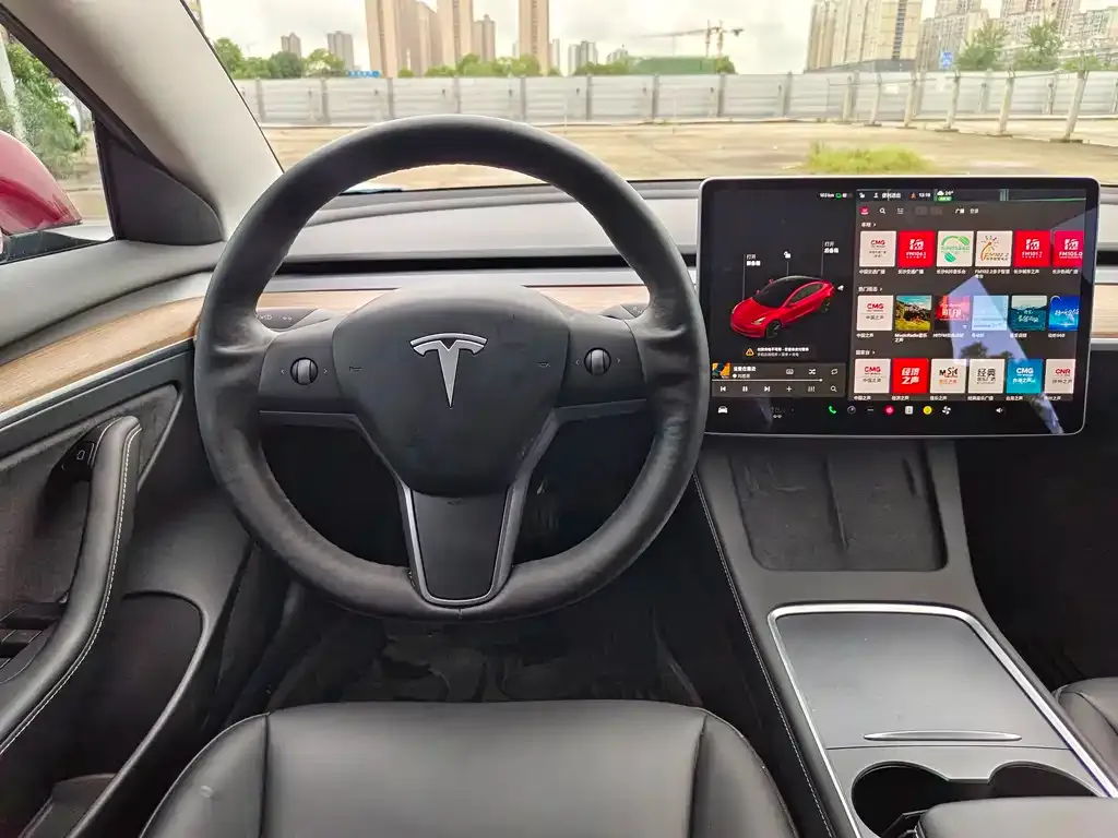 Tesla Model 3 2021 из CN, фото 9